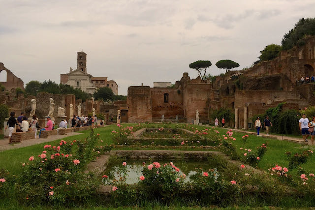 roses in the roman forum