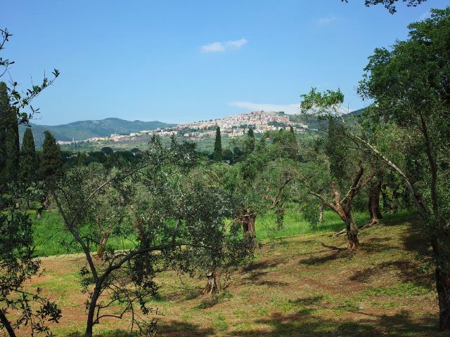 view of tivoli from villa adriana