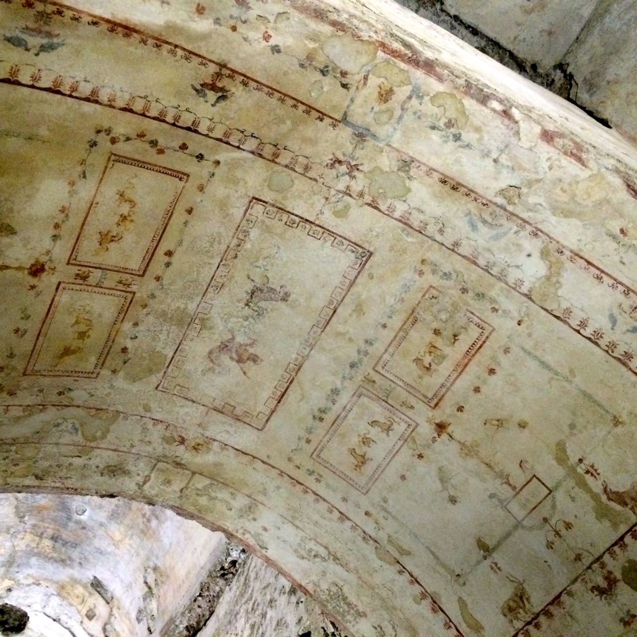 paintings on the ceiling of the domus aurea