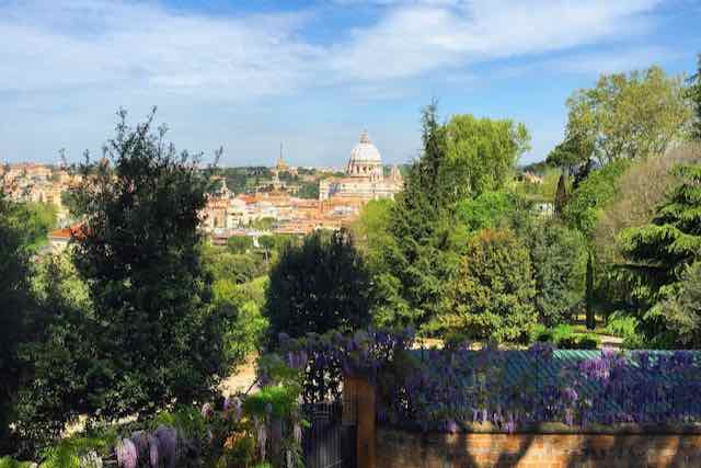 st peters dome from gianicolo hill with wisteria